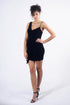 CLAIMED (mini dress)
